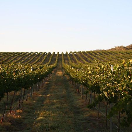 Mayfield Vineyard Ориндж Экстерьер фото