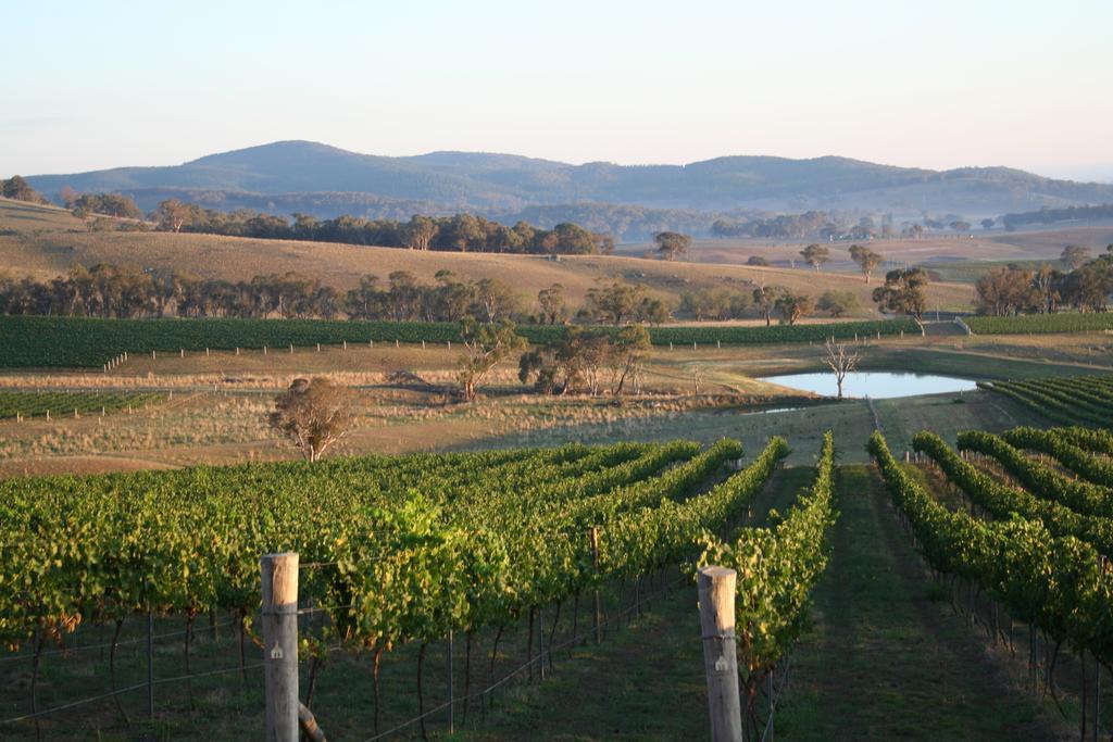Mayfield Vineyard Ориндж Экстерьер фото