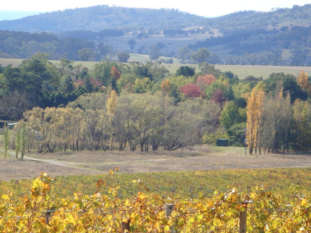 Mayfield Vineyard Ориндж Экстерьер фото
