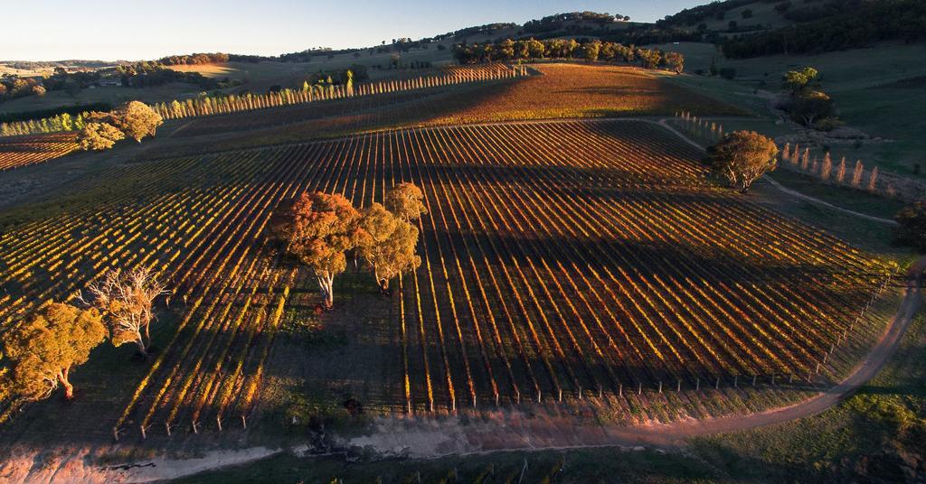 Mayfield Vineyard Ориндж Экстерьер фото